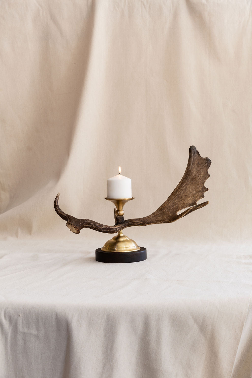 Palmated Red Stag Candlestick