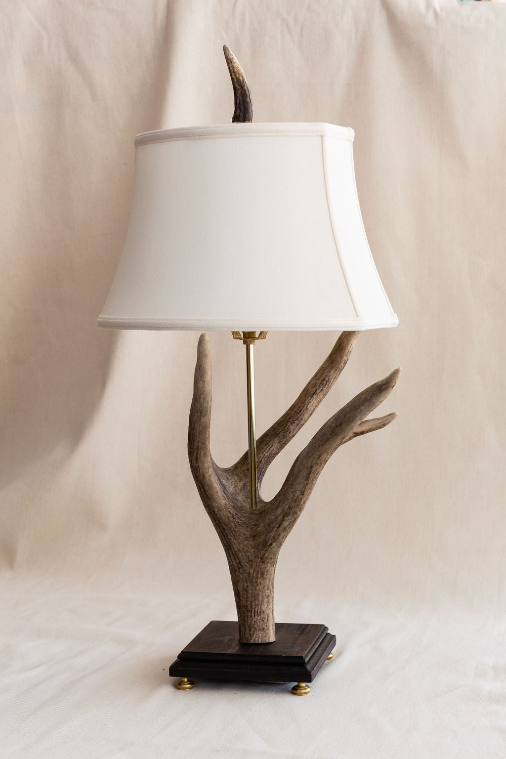 Red Stag Antler Shed Lamp