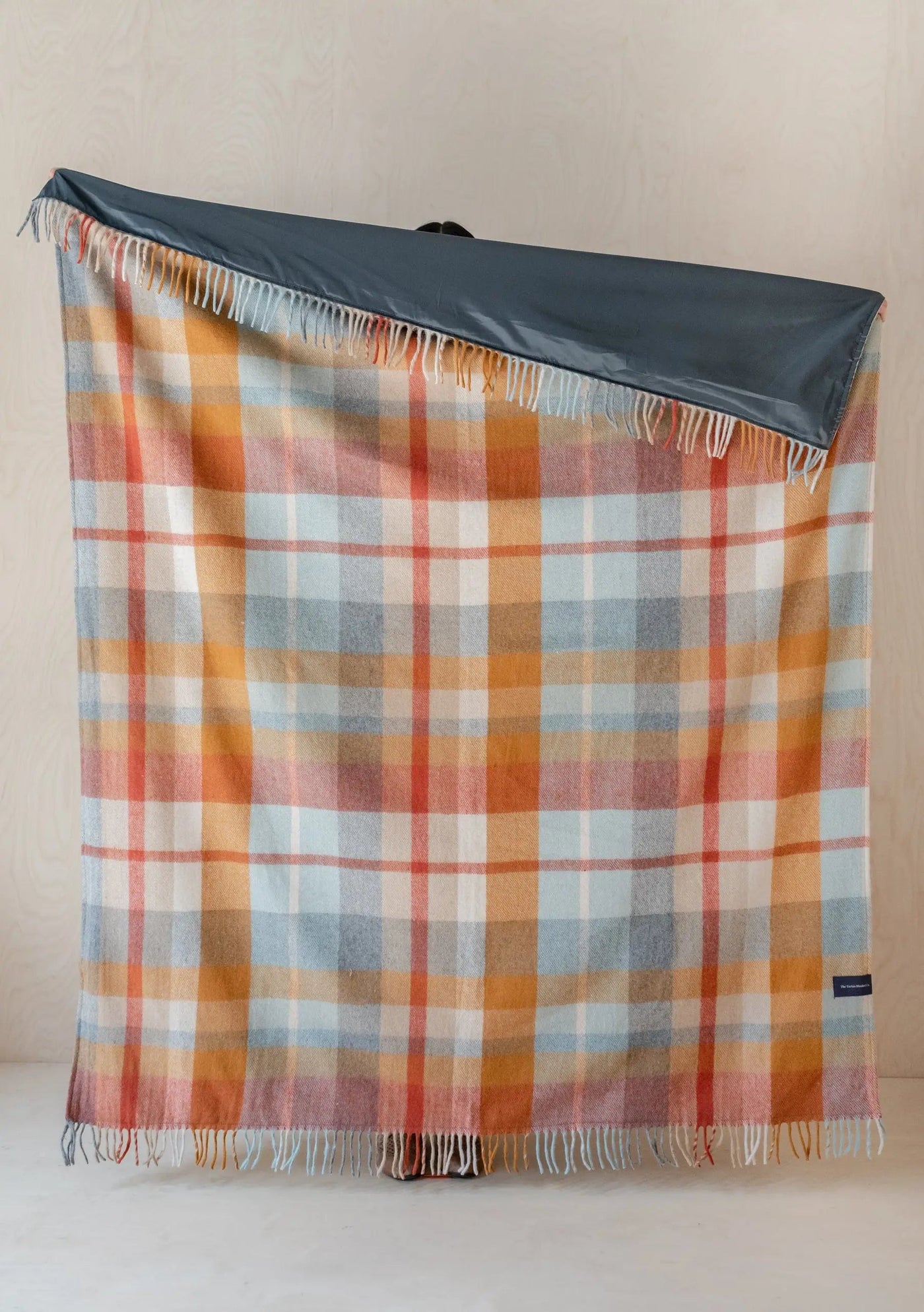 Waterproof Picnic Blanket with Carrier